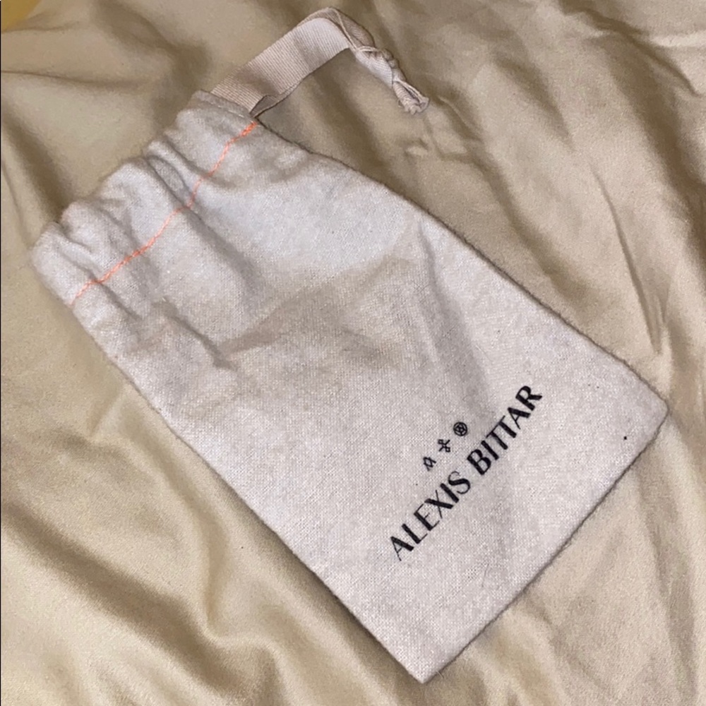 Alexis Bittar jewelry bag